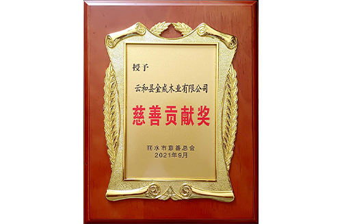 慈善貢獻獎